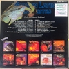 đĩa than Orchestre Mario Robbiani – Golden Latin Favourites