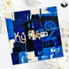 Vinyl Kỷ Niệm 2 (Nhiều ca sĩ)