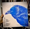 vinyl Rebecca Pidgeon -  The Raven (180 Gram Vinyl, Reissue)