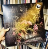 vinyl MELANIE MARTINEZ - PORTALS (BLOODSHOT TRANSLUCENT VINYL)
