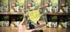 CD  LÂN NHÃ - NHỮNG LỜI THƯƠNG GỬI MUỘN (2-TRACK CD SINGLE)