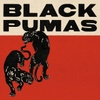 vinyl BLACK PUMAS - BLACK PUMAS (DELUXE/GOLD & RED/BLACK MARBLE VINYL/2LP)