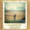 vinyl PASSENGER - RUNAWAY (DL)