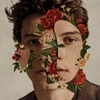 đĩa than SHAWN MENDES - SHAWN MENDES