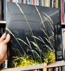 vinyl SAM SMITH - LOVE GOES (2LP)