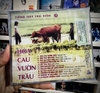 ĐĨA CD HOA CAU VƯỜN TRAU - TIẾNG HÁT THU HIỀN 2
