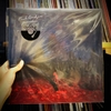 vinyl PHOEBE BRIDGERS - PUNISHER