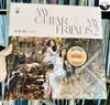 QUỐC BẢO - MY GUITAR MY FRIENDS 2 (LIMITED VINYL LP)