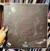 vinyl Iron & Wine - BEAST EPIC (DL CARD)