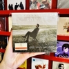 ĐĨA CD LÂN NHÃ - NHIÊN