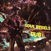 Đĩa LP Bob Marley & The Wailers - Soul Rebels Dub (Yellow & Red Haze Vinyl)