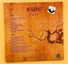 Bolero 6 - Túy ca