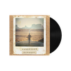 vinyl PASSENGER - RUNAWAY (DL)