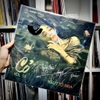 vinyl Tố nga - Cỏ vol 15 lp
