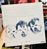 vinyl  Helge Lien Trio ‎– Badgers And Other Beings