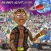 vinylrecord Juice WRLD - The Party Never Ends (2LP) (Coal Color Vinyl)
