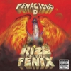 Vinyl record Tenacious D - Rize of the Fenix