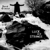 vinyl record David Gilmour - Luck and Strange LP (Translucent Sea Blue Vinyl)
