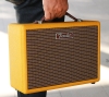 LOA FENDER MONTEREY TWEED ( Công suất 120 W )