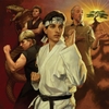 Vinyl Bill Conti - The Karate Kid: 40th Anniversary (Original Motion Picture Score) (2LP) (Cloudy Clear Vinyl)