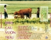 ĐĨA CD HOA CAU VƯỜN TRAU - TIẾNG HÁT THU HIỀN 2