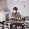 vinylrecord Don Henley - I Can't Stand Still