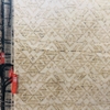 THẢM CHÂU Á CAO CẤP THCA38JS030036-1420 (KT 140*200 CM)