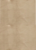 THẢM CHÂU Á CAO CẤP THCA38JS060296-3040 (KT 300*400 CM)
