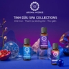 Set 5 Chai Tinh Dầu Thiên Nhiên Aroma Works Essential Oil For Spa Collections (10ml x 5)