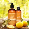 Dầu Massage Toàn Thân Aroma Works Body Massage Oils - Refreshing Citrus