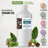 Dầu Mù U Nguyên Chất Oilmart Tamanu Oil