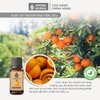 Tinh Dầu Thiên Nhiên Vỏ Cam Aroma Works Essential Oil Orange