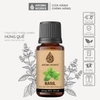 Tinh Dầu Thiên Nhiên Húng Quế Aroma Works Essential Oil Basil