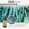 Tinh Dầu Thiên Nhiên Khuynh Diệp Aroma Works Essential Oil Eucalyptus