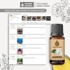 Tinh Dầu Thiên Nhiên Hoa Lài Aroma Works Essential Oil Jasmine