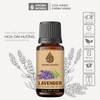 Tinh Dầu Thiên Nhiên Hoa Oải Hương Aroma Works Essential Oil Lavender