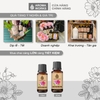 Tinh Dầu Thiên Nhiên Phong Lữ Aroma Works Essential Oil Geranium