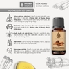 Tinh Dầu Thiên Nhiên Vỏ Quế Aroma Works Essential Oil Cinnamon