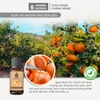 Tinh Dầu Thiên Nhiên Vỏ Quýt Aroma Works Essential Oil Tangerine