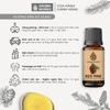 Tinh Dầu Thiên Nhiên Thông Đỏ Aroma Works Essential Oil Red Pine