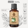 Tinh Dầu Thiên Nhiên Tràm Gió Aroma Works Oil Cajeput