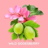 Tinh Dầu Thơm Làm Nến, Tán Hương, Mỹ Phẩm Mùi Wild Gooseberry