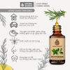 Tinh Dầu Thiên Nhiên Lá Chanh Aroma Works Essential Oil Petitgrain