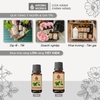 Tinh Dầu Thiên Nhiên Lá Chanh Aroma Works Essential Oil Petitgrain