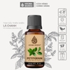 Tinh Dầu Thiên Nhiên Lá Chanh Aroma Works Essential Oil Petitgrain