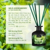 Bộ Tán Hương Que Mây Nomad Reed Diffuser 140ml - Wild Gooseberry