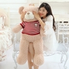Gấu Teddy áo nhồi bông