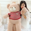 Gấu Teddy áo nhồi bông