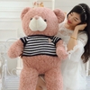 Gấu Teddy áo nhồi bông