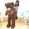 Gấu Teddy áo nhồi bông